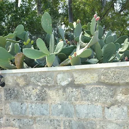 Salento Rosa Dei Venti - Lecce Selection Holiday home *